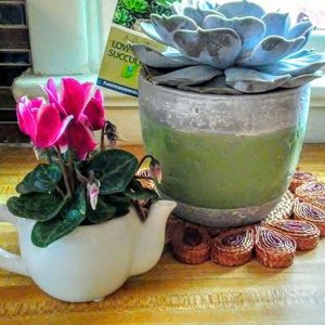 Meet your Posher, Sharon